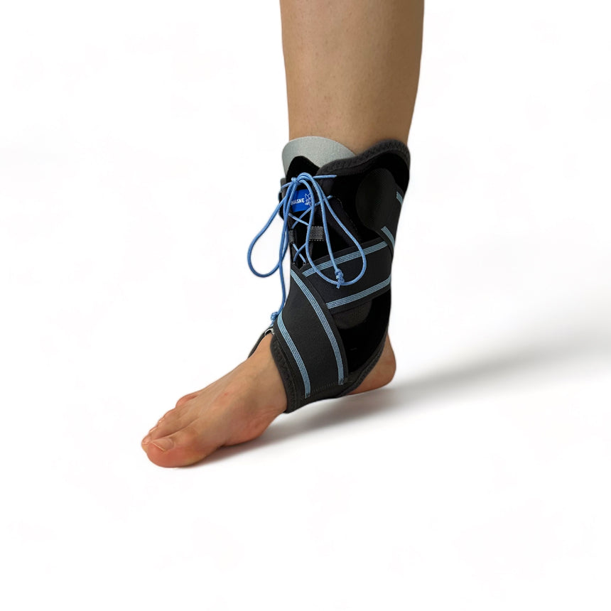 Thuase MalleoDynastab Bokarögzítő