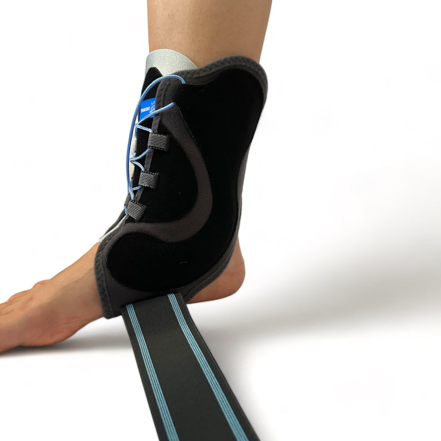 Thuase MalleoDynastab Bokarögzítő