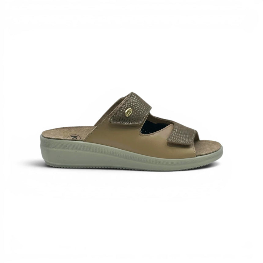 Scholl Antonia Elastic - Taupe