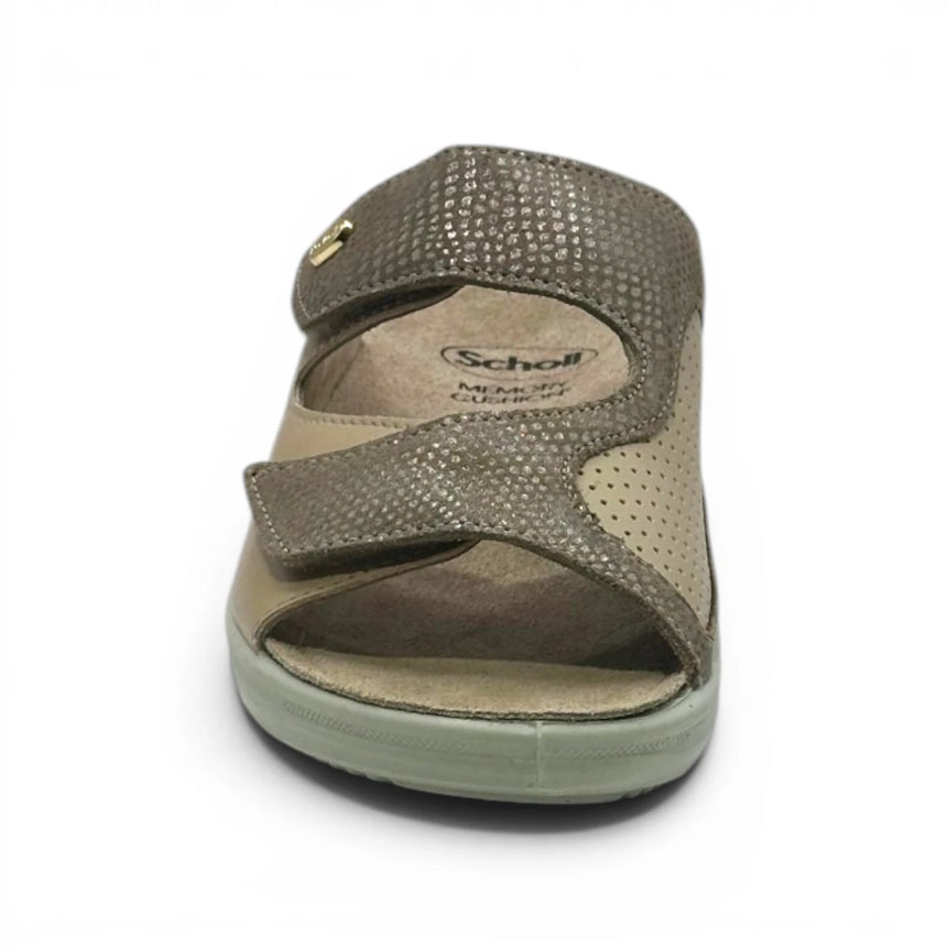 Scholl Antonia Elastic - Taupe