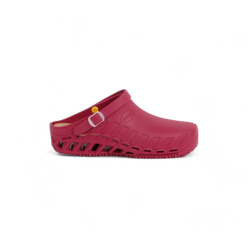 Scholl Clog Evo