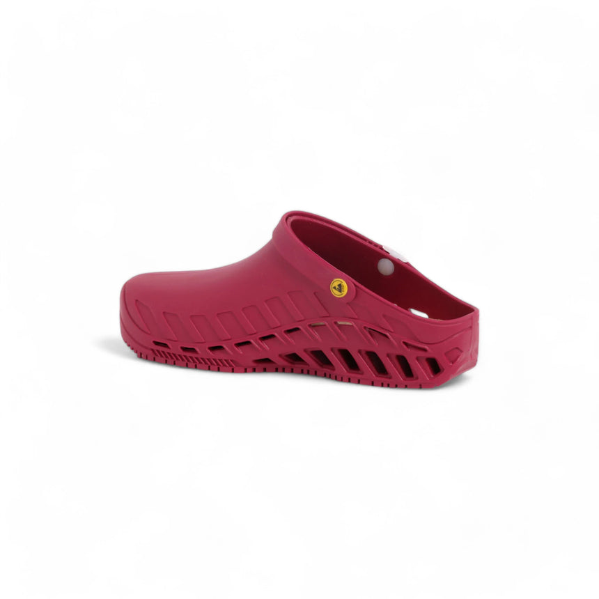 Scholl Clog Evo