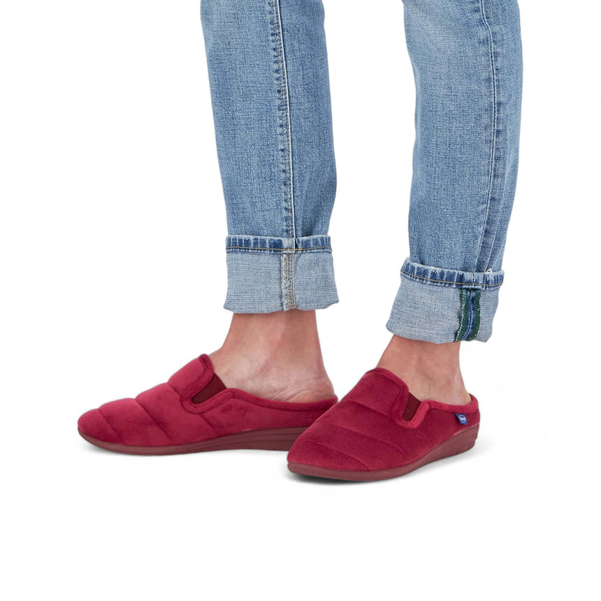 Scholl Cloudy Ela