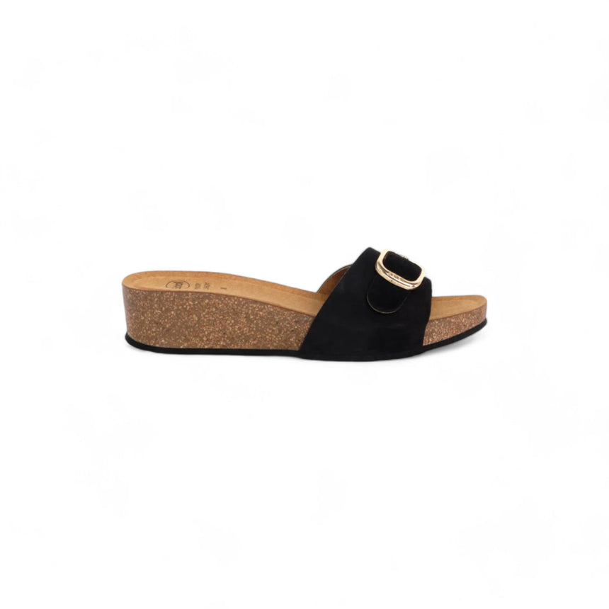 Scholl Rapallo Buckle