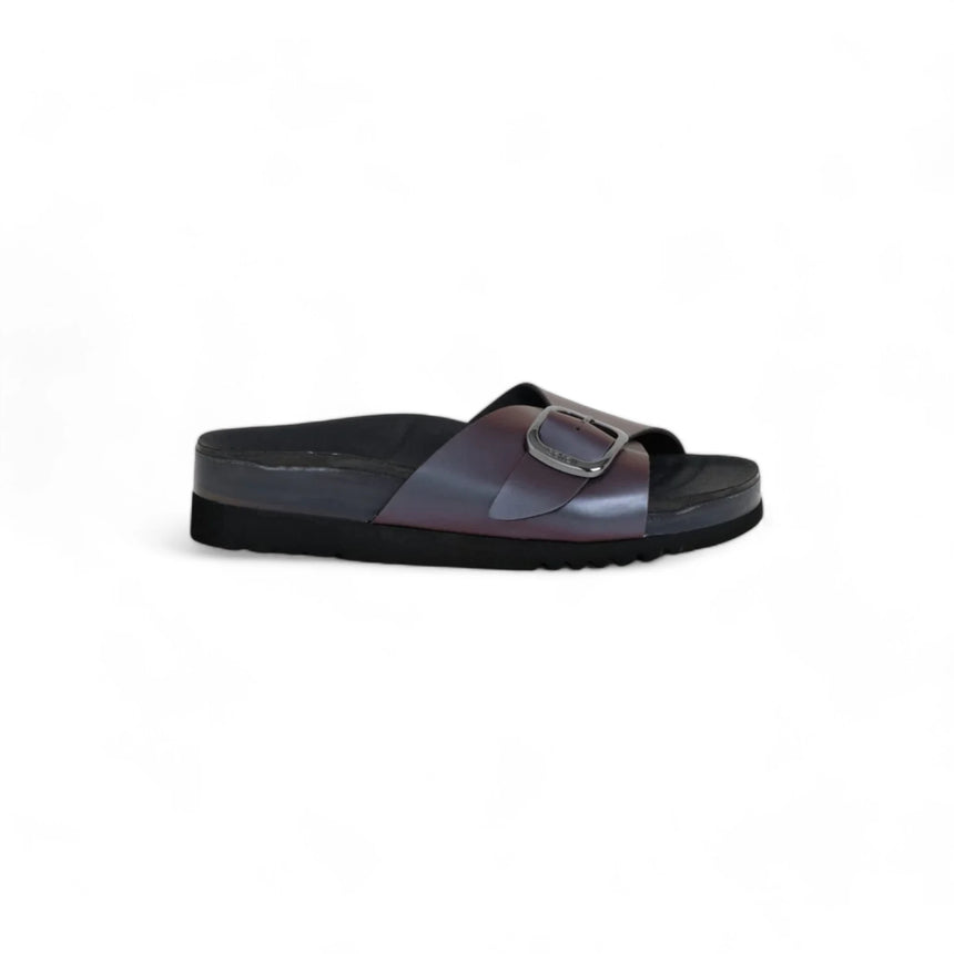 Scholl Senny