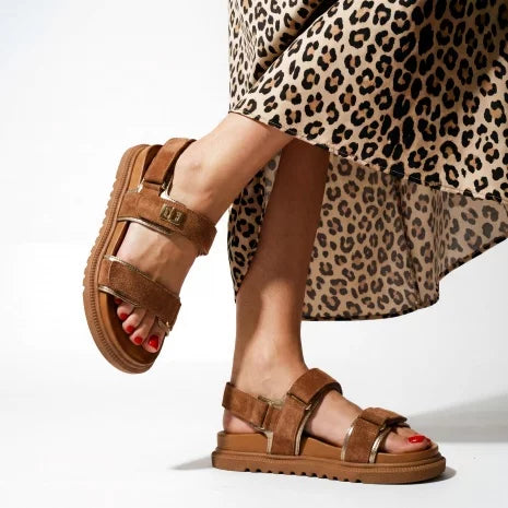 Batz Ruby - Camel