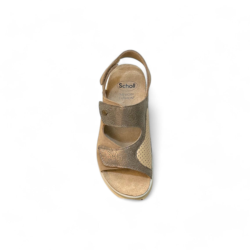 Scholl Antonia Sandal