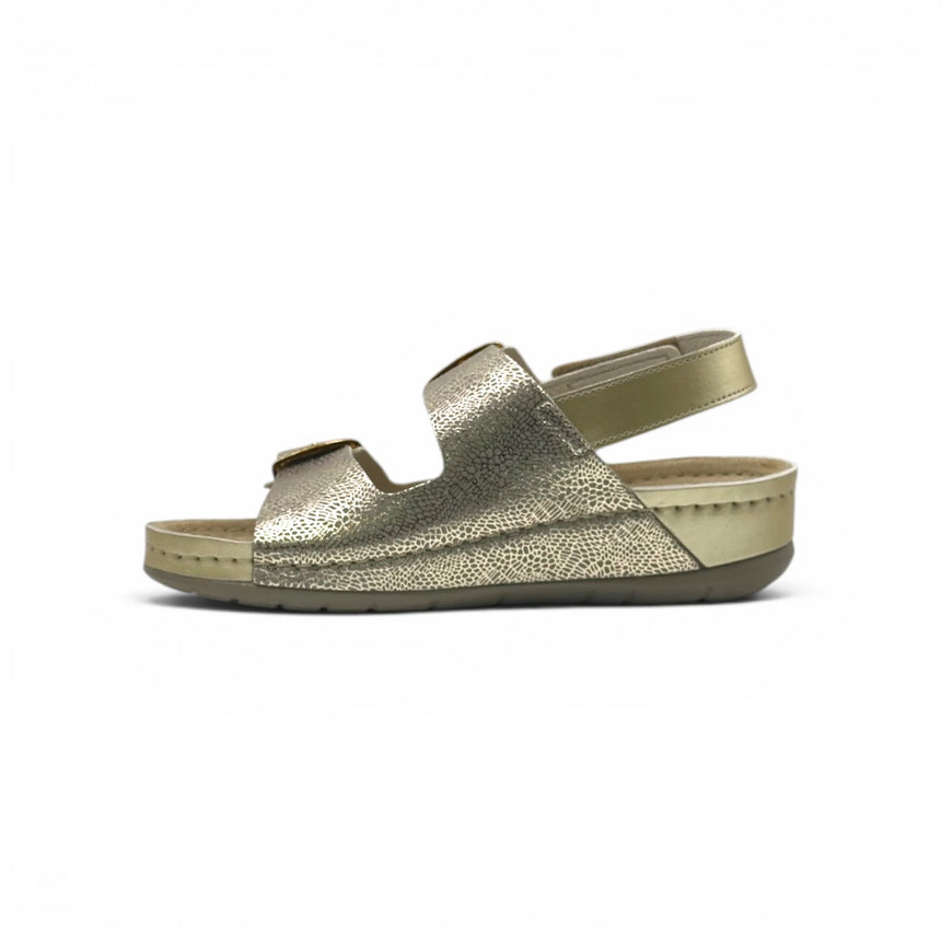 Scholl Aberdeen Sandal - Platina