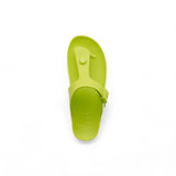 Scholl Bahia Flip-Flop