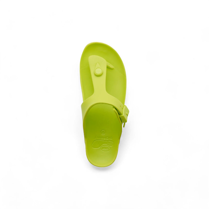 Scholl Bahia Flip-Flop