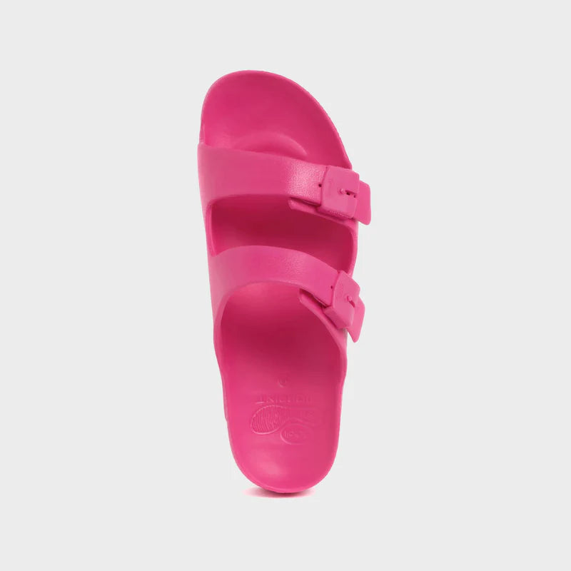 Scholl Bahia - Magenta
