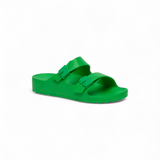 Scholl Bahia