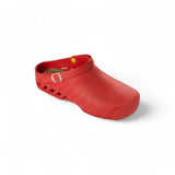 Scholl Clog Evo