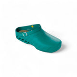 Scholl Clog Evo