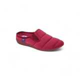 Scholl Cloudy Ela