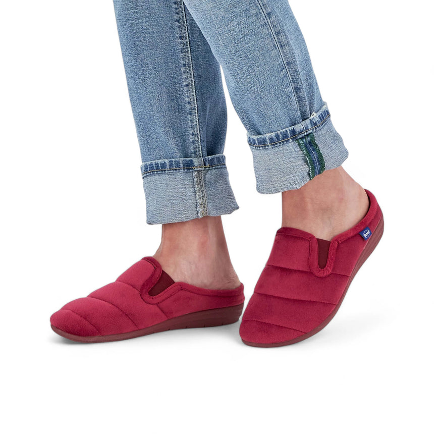 Scholl Cloudy Ela