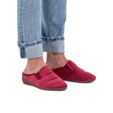 Scholl Cloudy Ela