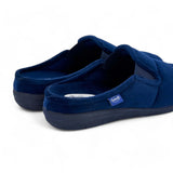 Scholl Cloudy Ela