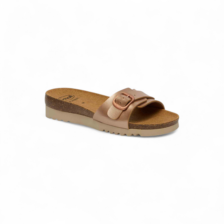 Scholl Ginni