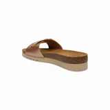Scholl Ginni
