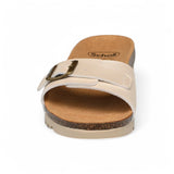 Scholl Ginni