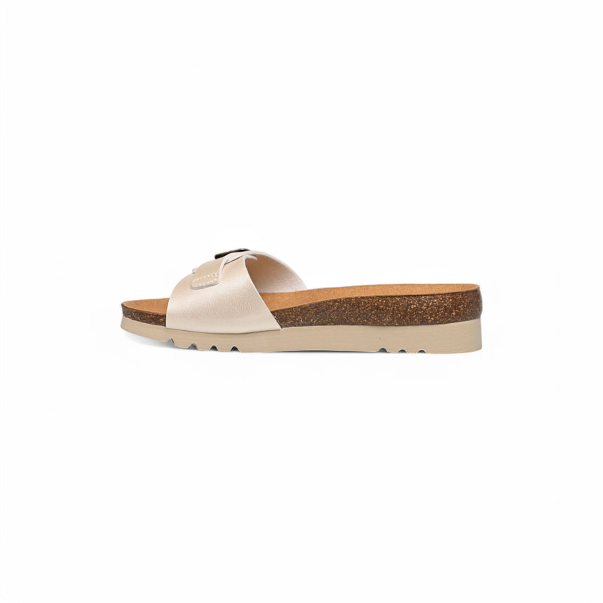 Scholl Ginni