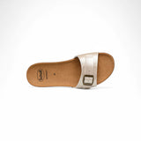Scholl Ginni