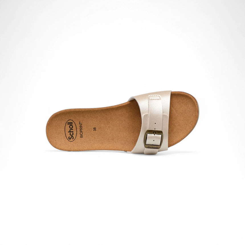 Scholl Ginni