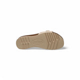 Scholl Ginni