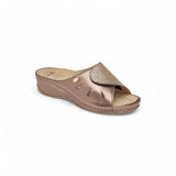 Scholl Nives