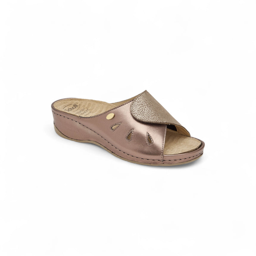 Scholl Nives