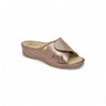 Scholl Nives