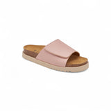 Scholl Sierra