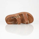 Batz Ruby - Camel