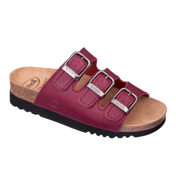 SCHOLL RIO WEDGE AD (bordeaux)